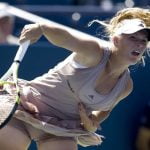 100 cele mai frumoase imagini cu pisici din lume tenismena poza picanta