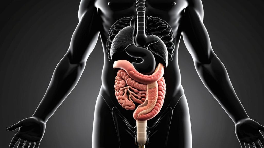 care sunt cauzele scaunelor negre