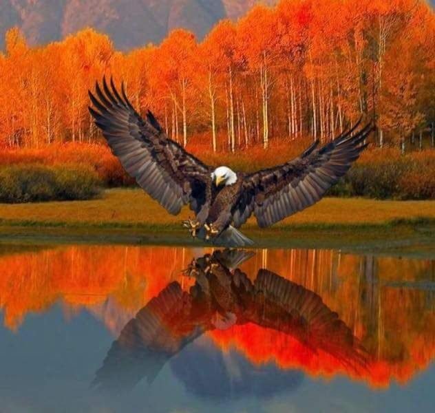 animale simbolice tari