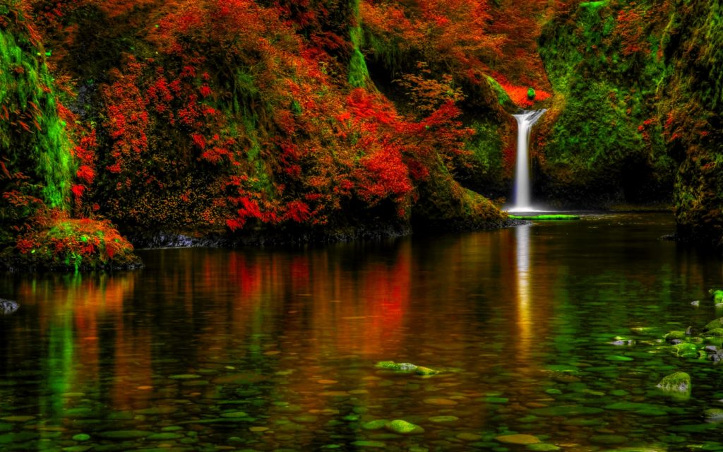 fotografie extrem de superba