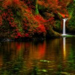 fotografie extrem de superba