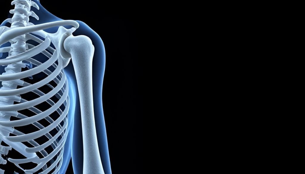 care sunt oasele bratului