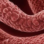 Cum Aflu Dacă Sunt Sterilă? Un Ghid Complet al Procesului de Diagnosticare a Infertilității