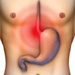 alimente rele pentru ficat