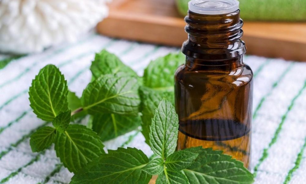 Cum să faci inhalații cu mentă pentru a scăpa de răceală, gripă, tuse etc.? ulei esential de menta