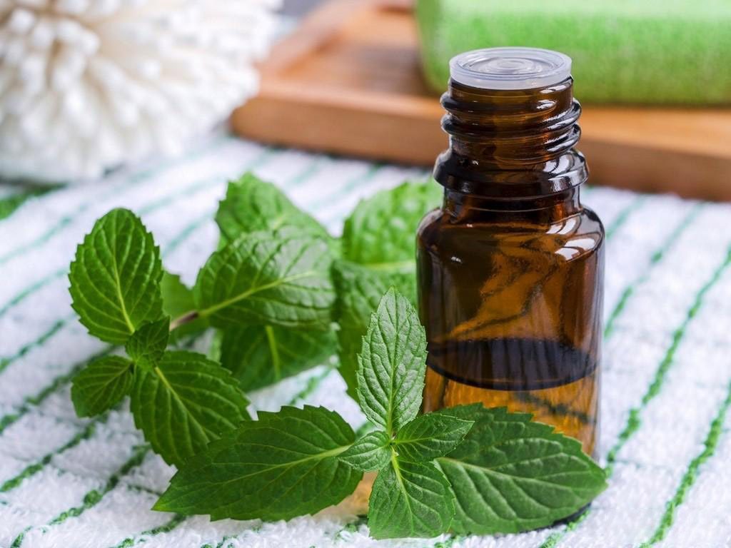 ulei esential de menta