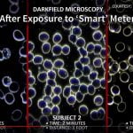 pericolele radiatiilor antenelor