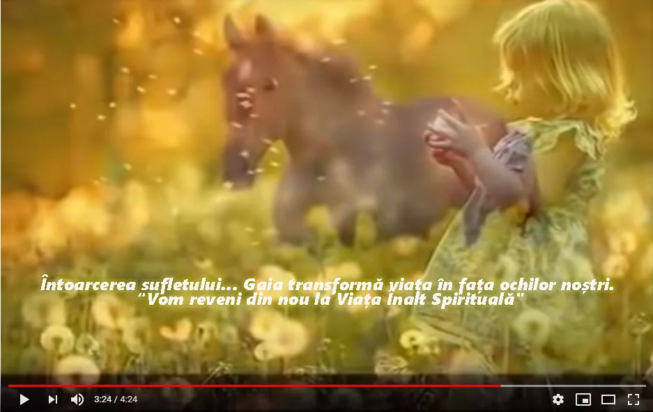 intoarcerea sufletului