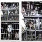 eliberare copii din custi