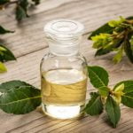 cum se face ulei de dafin