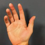 Care Sunt Cele Mai Bune Ciuperci Medicinale? Un Ghid Complet pentru Sănătate și Vitalitate