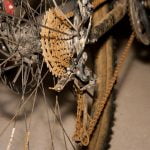 Cancerul limbii în stadiul 1 – ce trebuie să știi despre cancerul lingual curatare rugina de pe lantul bicicletei