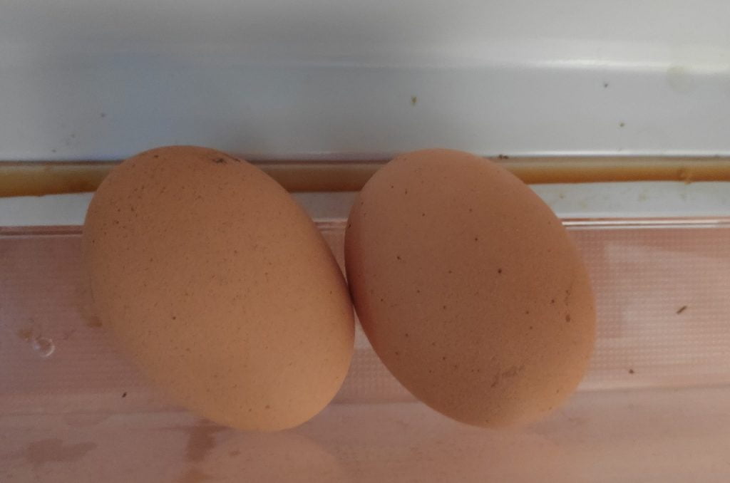 cat cantareste un ou