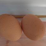 cat cantareste un ou