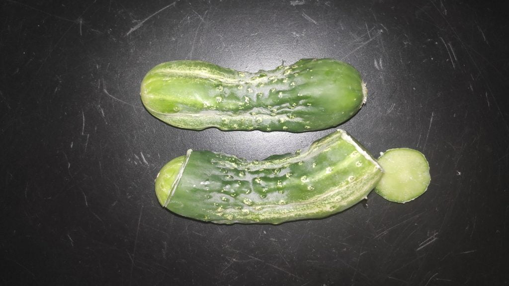 castravete gust amar amaraciune