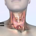 Cum să faci o soluție naturală împotriva țânțarilor și cum scapi de aceste insecte enervante din casă și din curte?