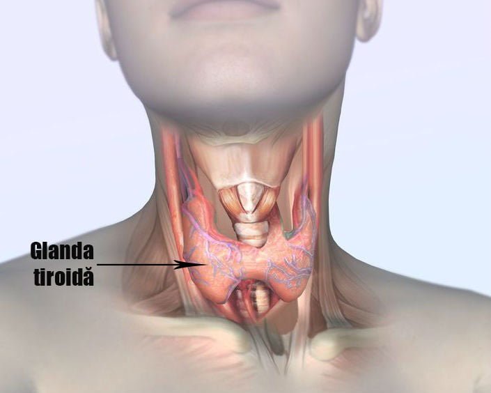 Care este dimensiunea normală a glandei tiroide?