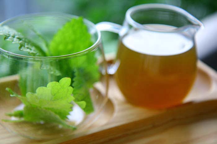 Cum se extrage zahărul din stevia?