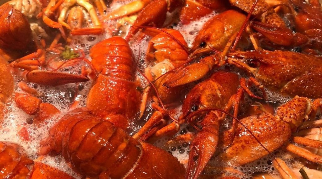 De ce se înroșesc racii, homarii și crabii atunci când îi gătim?