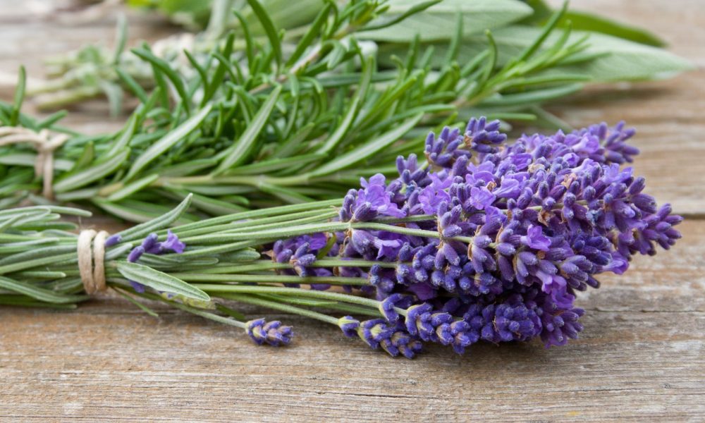 Cum să folosiți lavanda în tratarea anxietății?