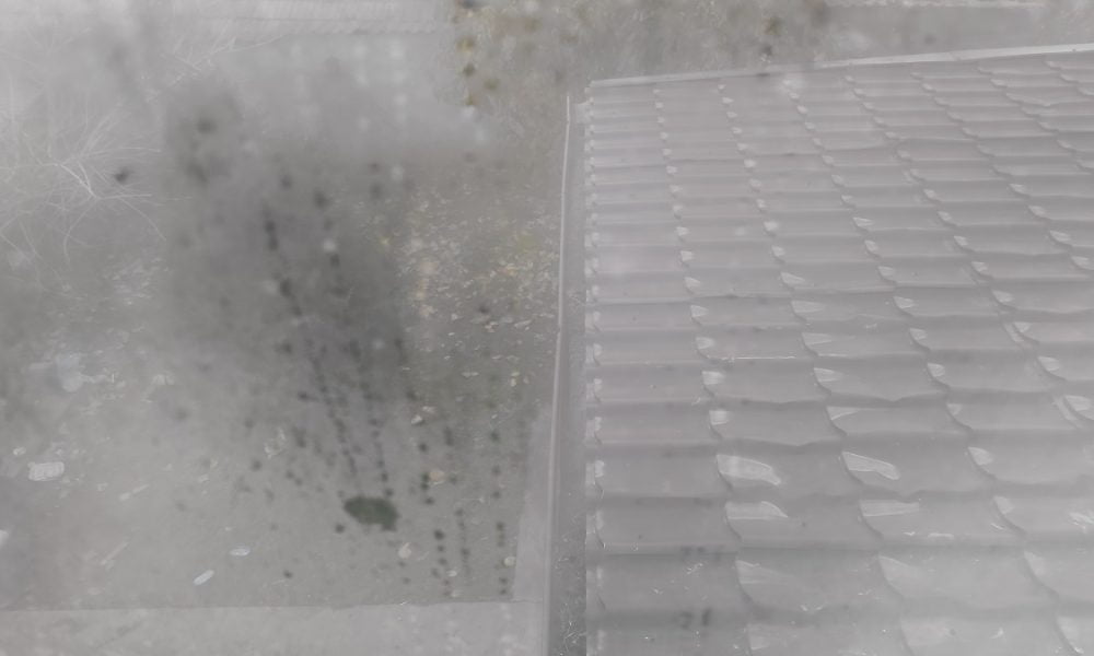 Cum să previi condensul pe ferestre în timpul iernii?