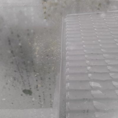 Cum Să Protejezi Ferestrele de Condens și Să Te Bucuri de O Casă Caldă și Uscată