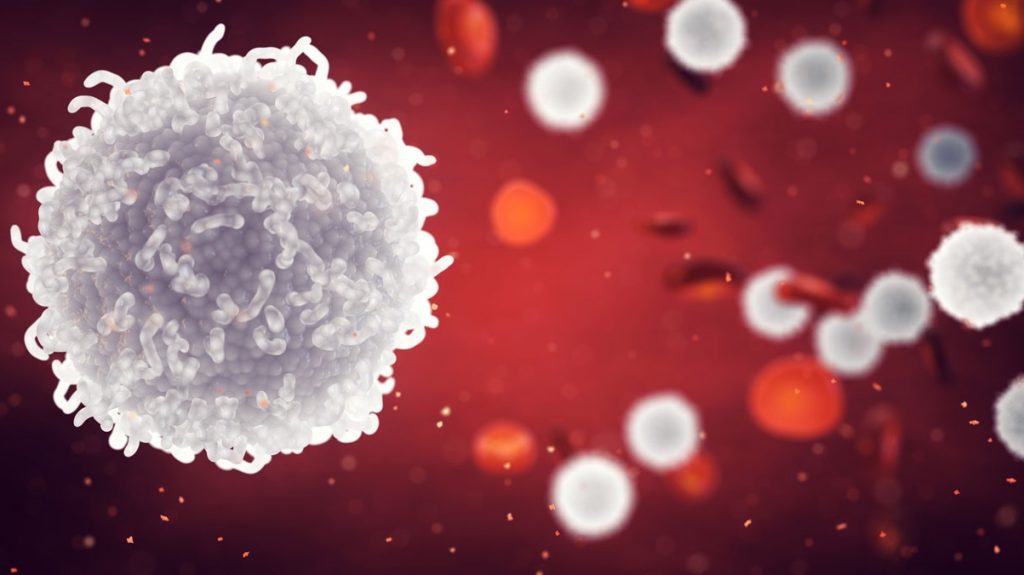 10 alimente care cresc globulele albe din sânge