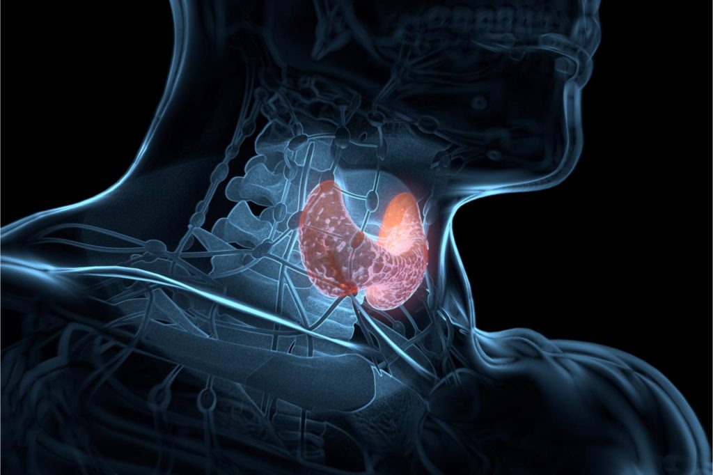 organele afectate de glanda tiroida