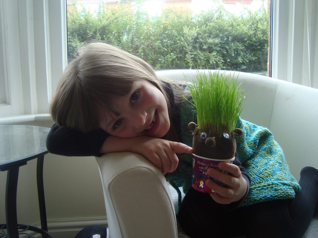 Cum sa faci domnul cap de iarba (Mr. Grass Head)