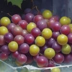 Cum sa congelezi strugurii pentru iarna