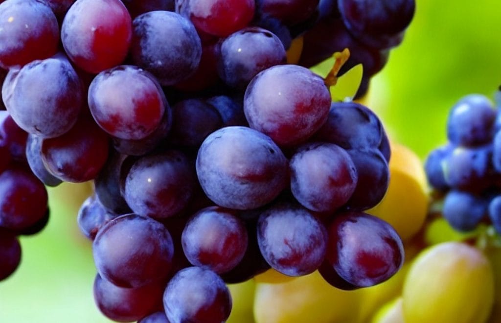 Care sunt cele mai bune fructe pentru ficat