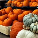 Cum iti dai seama daca dovleacul s a stricat